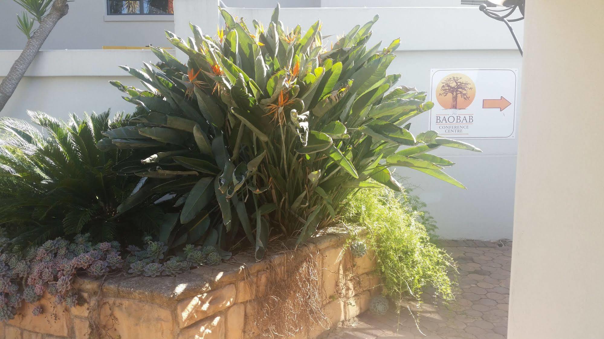 The Baobab Villa Midrand Kültér fotó